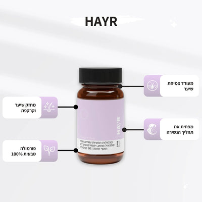 HAYR - alternate view